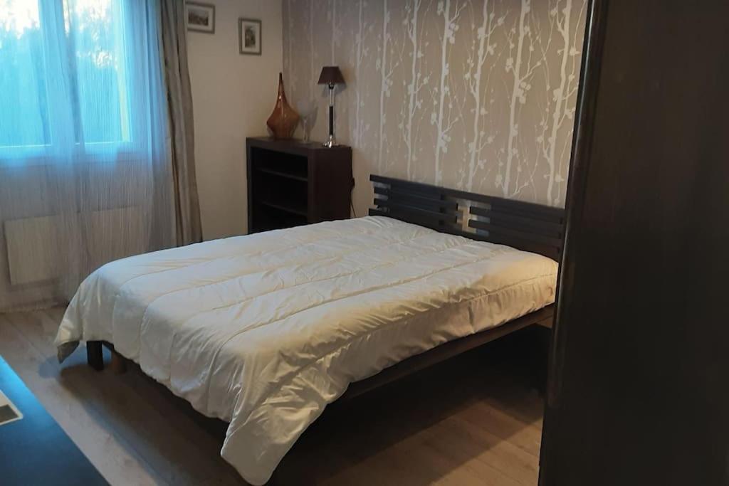 Apartamento Grand T1 Meuble Saint-Flour  Exterior foto
